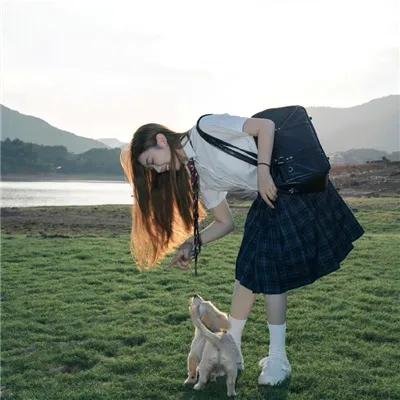 特洛伊奥德赛
